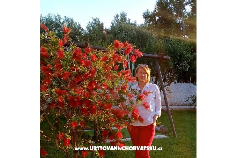 Apartmanok Lantana – fotó 16