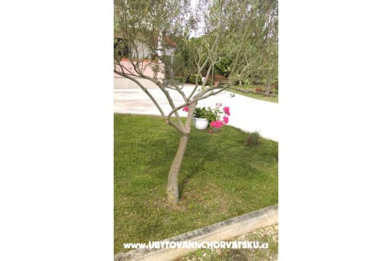 Apartmanok Tomi – fotó 9