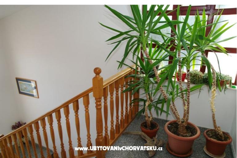 Apartmanok Mario – fotó 9