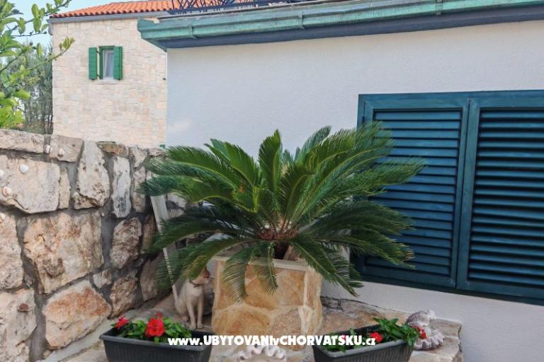 Apartmanok Liljana Ledinko – fotó 9