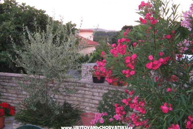 apartman Aurelia – fotó 11