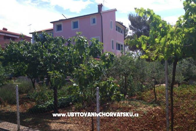 Apartman Maki – fotó 2