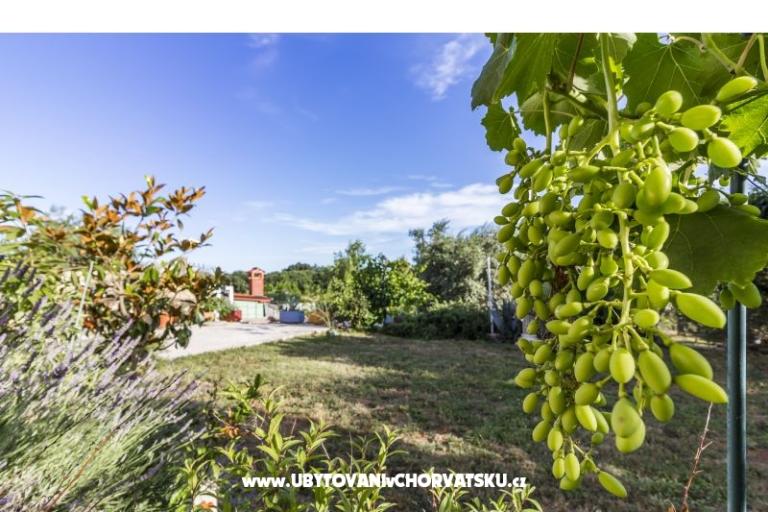 Apartman Mika – fotó 12