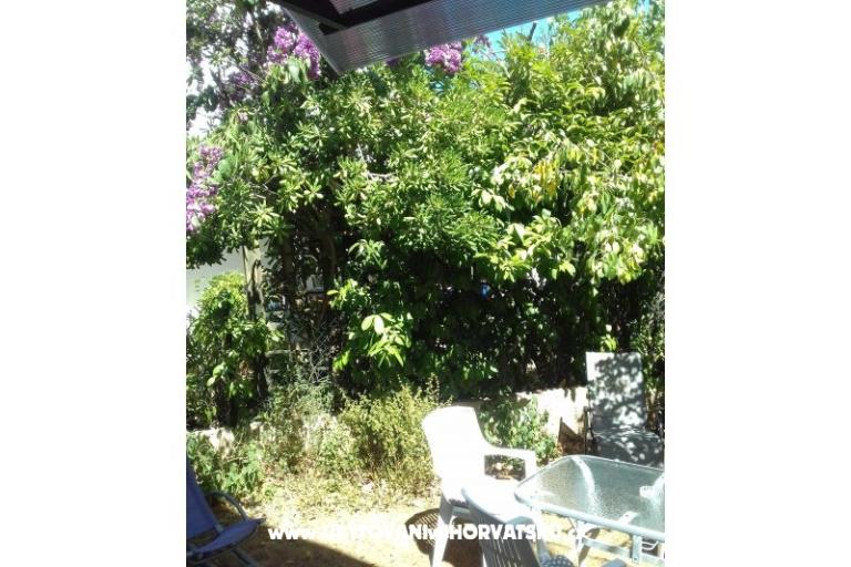 Apartman Zora Pula – fotó 21