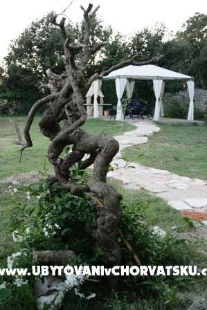Apartmanok Brioni – fotó 8
