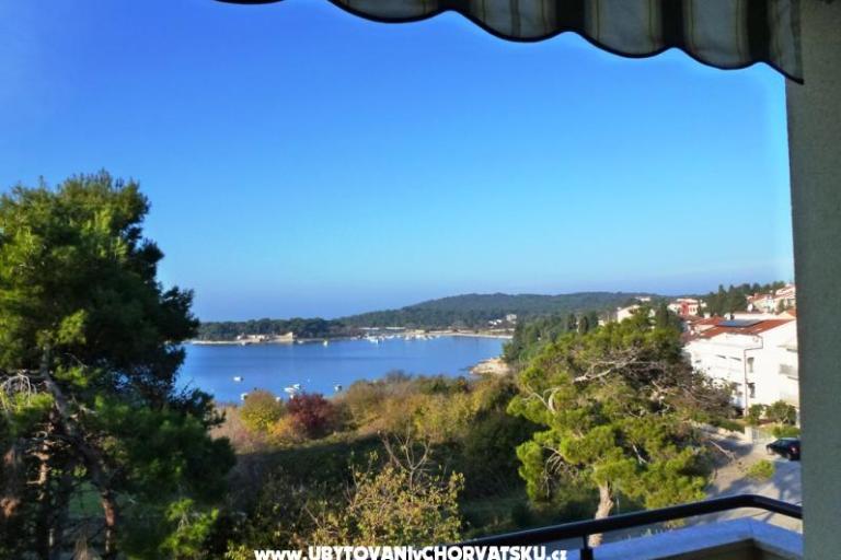 Apartmanok Grbin – fotó 12
