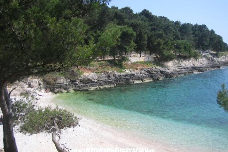 Apartmanok Grbin – fotó 13