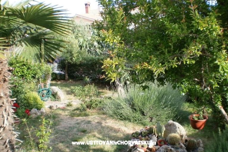Apartmanok Marco – fotó 7