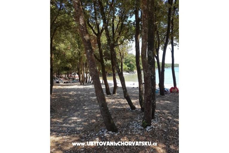 Apartmanok Duga Uvala – fotó 15