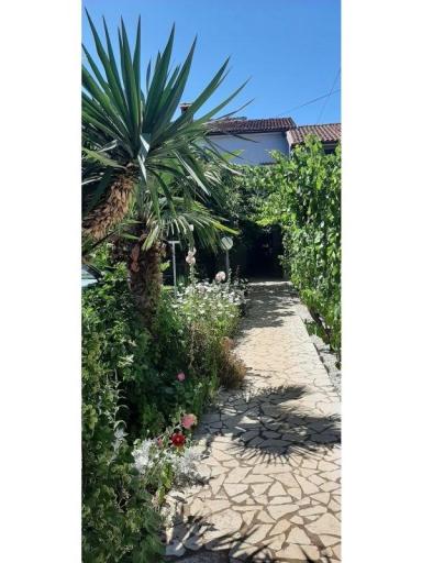 Apartmanok Alida Stinjan – fotó 21
