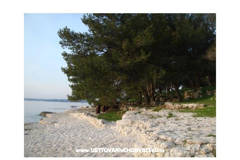 Apartmanok Villa Dolores – fotó 11