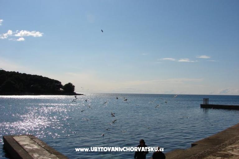 Apartman Petra – fotó 11
