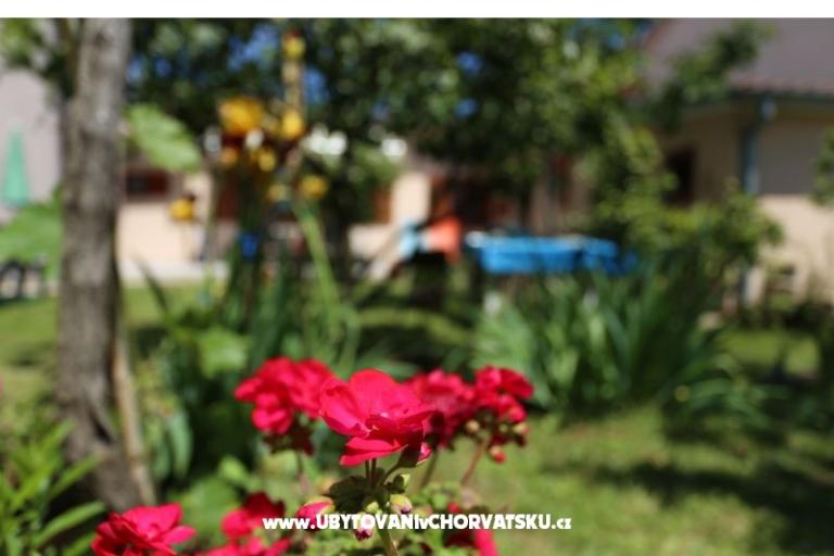 Štinjan apartmani Elda – fotó 15
