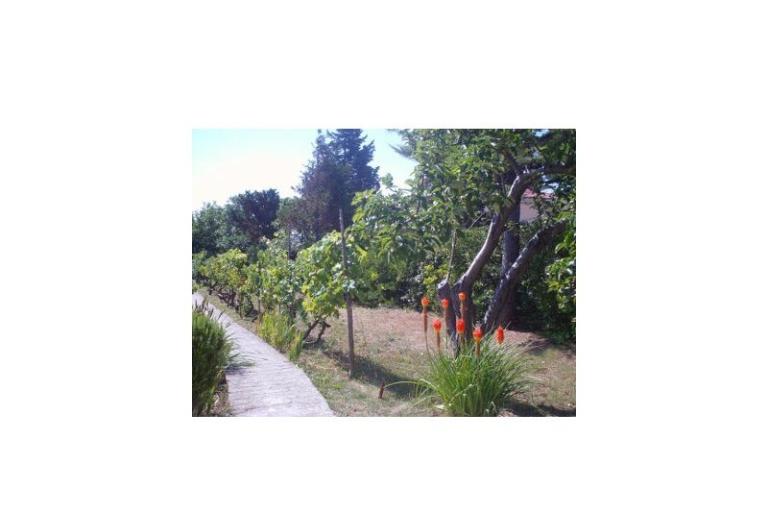 Apartmanok Ankica – fotó 15