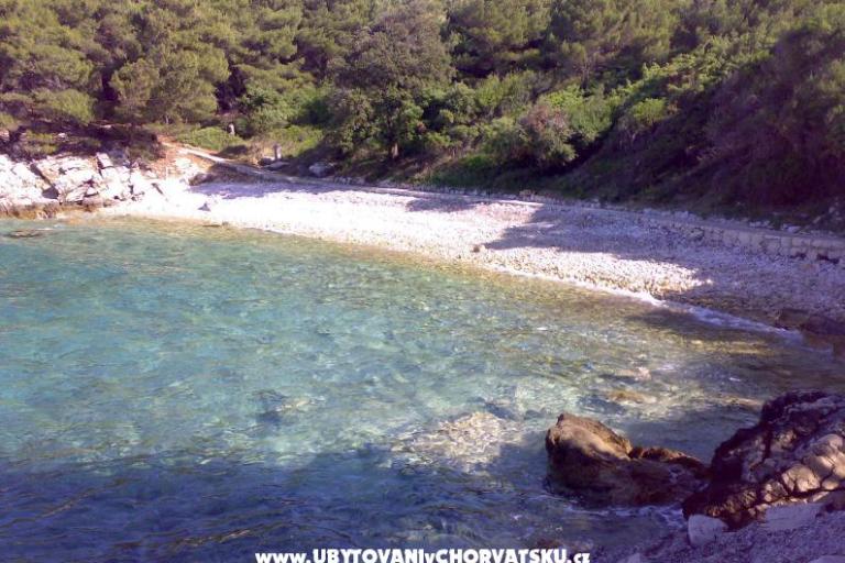 Apartmanok Ankica – fotó 7