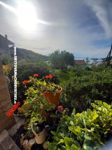 Apartmanok Danijela – fotó 13