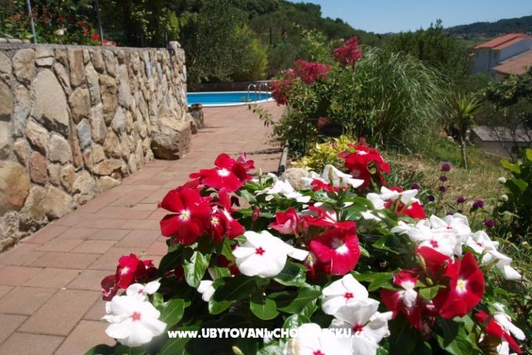 Apartmanok Dumičić – fotó 8