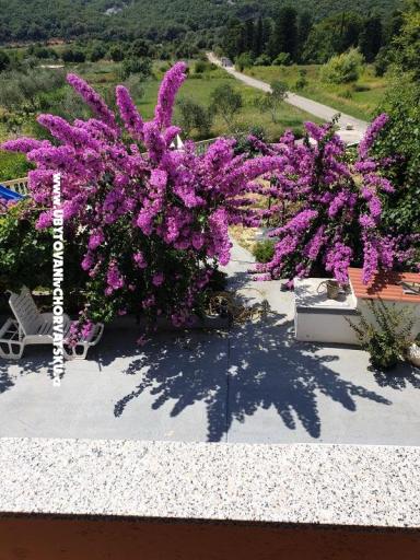 Apartmanok Lupić – fotó 16