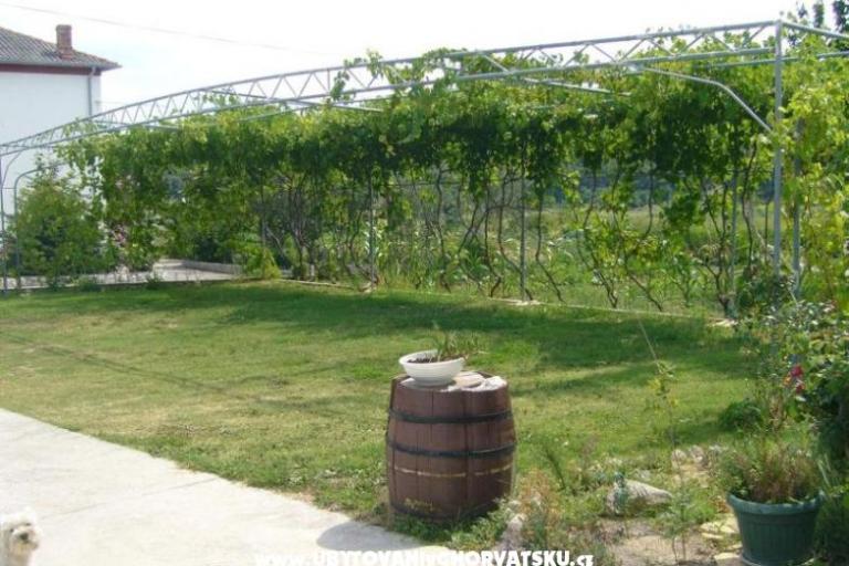 Apartmanok Mare – fotó 8