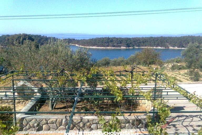 Apartmanok Mlacović – fotó 10