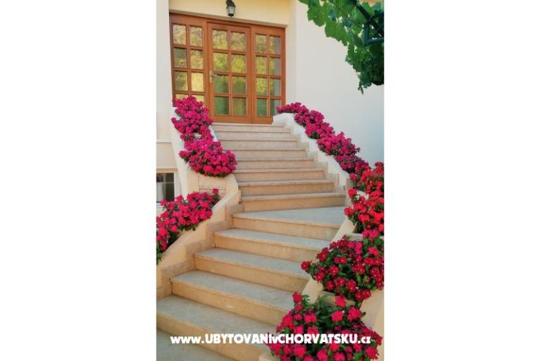 Apartmanok Natalija – fotó 2