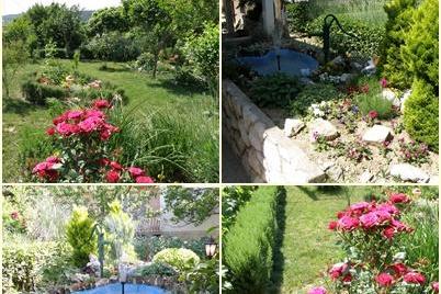 Apartmanok Skoblar Holiday-Rab – fotó 2