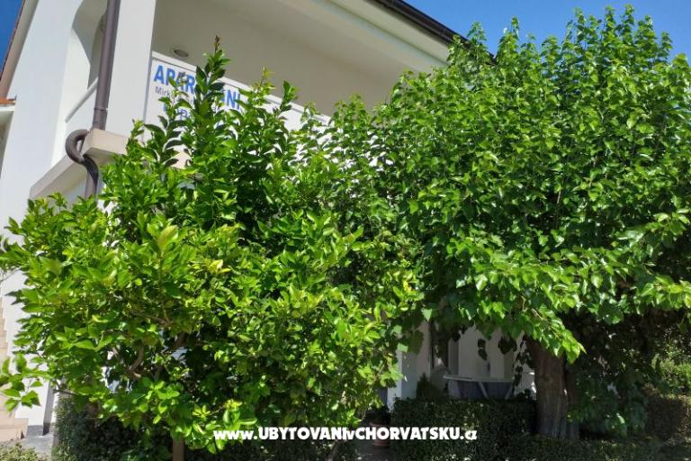 Apartmanok Snjezana – fotó 8