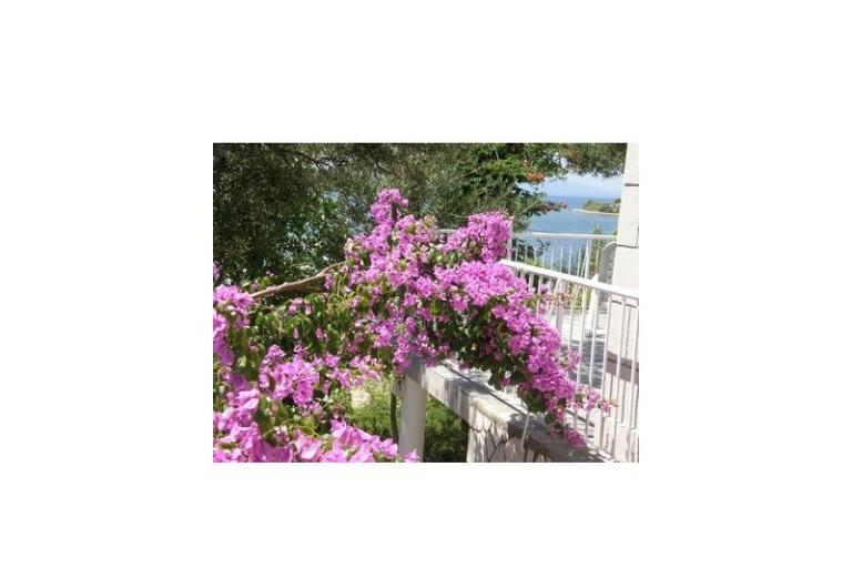 Apartmanok  Španjol – fotó 7