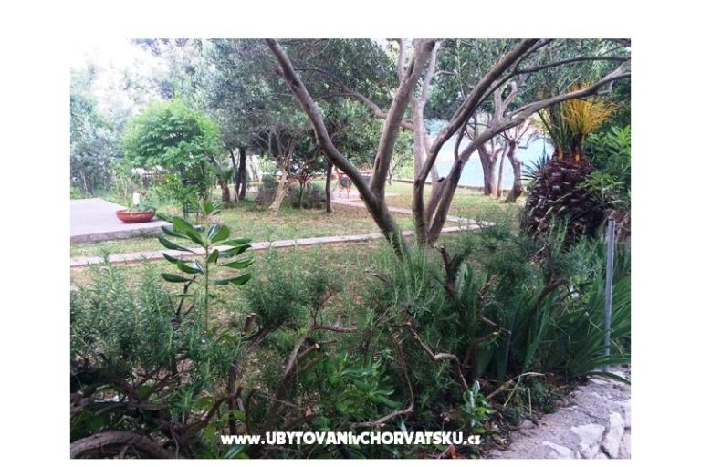 Apartmanok Supetarska Draga – fotó 15