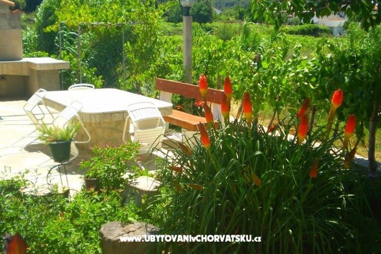 Apartmanok Vesna – fotó 17