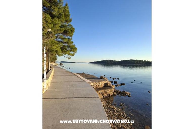 Apartmanok Palit Rab – fotó 3