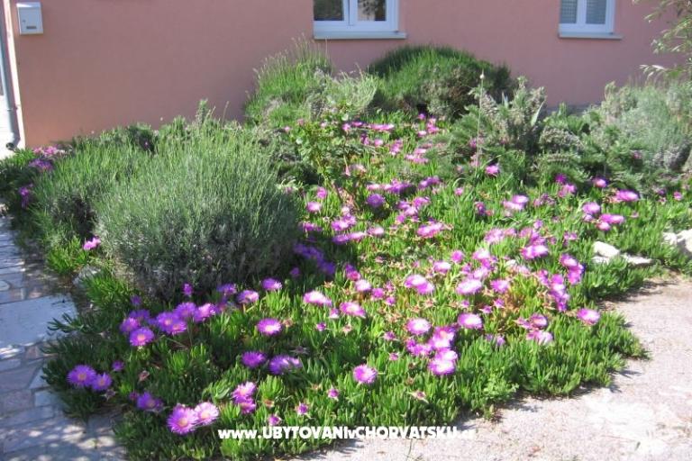 Apartman Marina exclusive – fotó 3