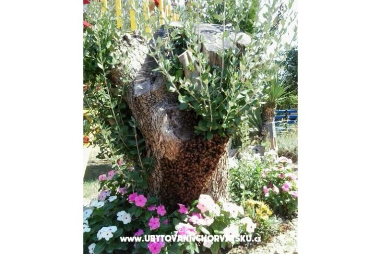 Apartmanok- Villa Ilijic – fotó 10