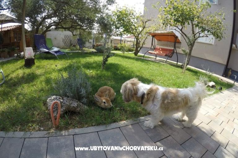 Apartmanok- Villa Ilijic – fotó 11