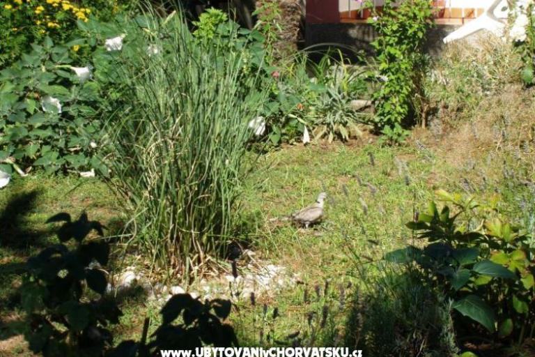 Apartmanok Malvina – fotó 10