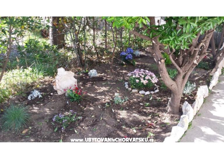 Arba – fotó 6