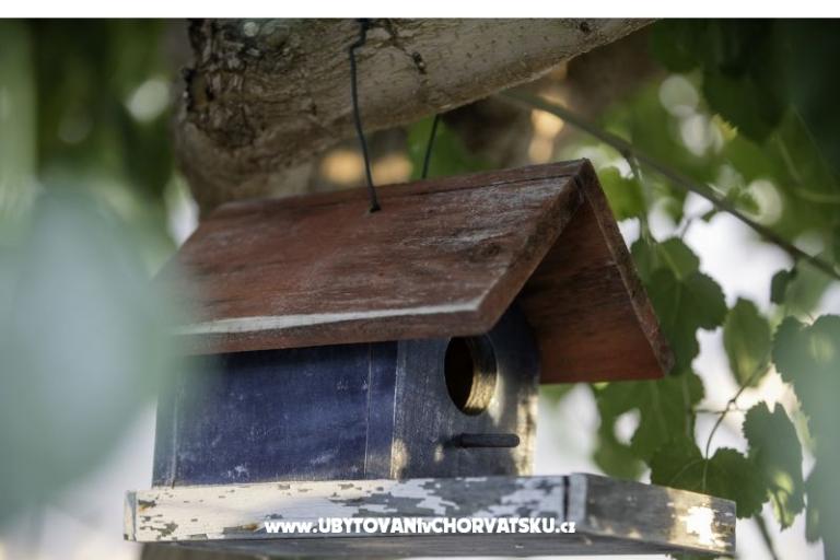 APARTMANI DEBELIĆ – fotó 10
