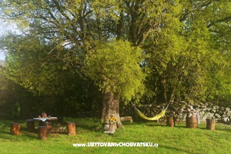 Traditional Istrian Ház ENI – fotó 11