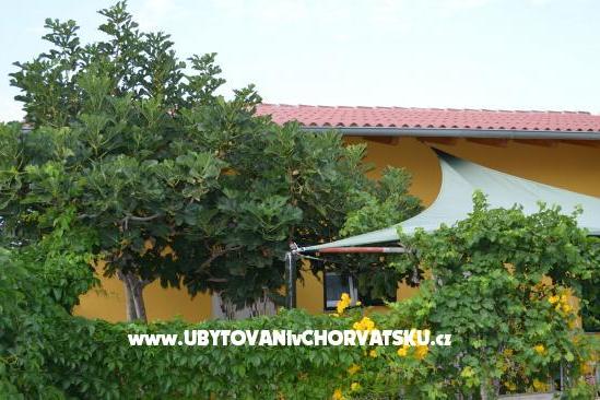 Apartmanok Negro – fotó 9