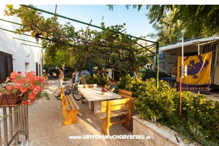 Apartmanok Puntica – fotó 2