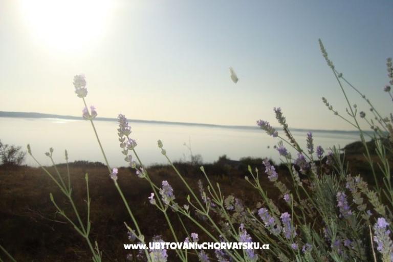 Apartman Marijan – fotó 9