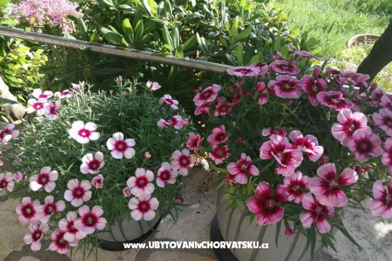 Apartmanok Eugen – fotó 15