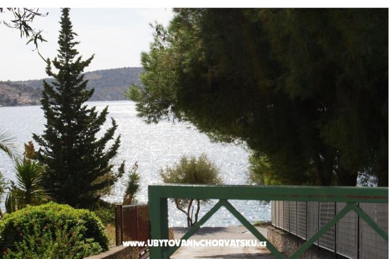  7 maslina – fotó 14