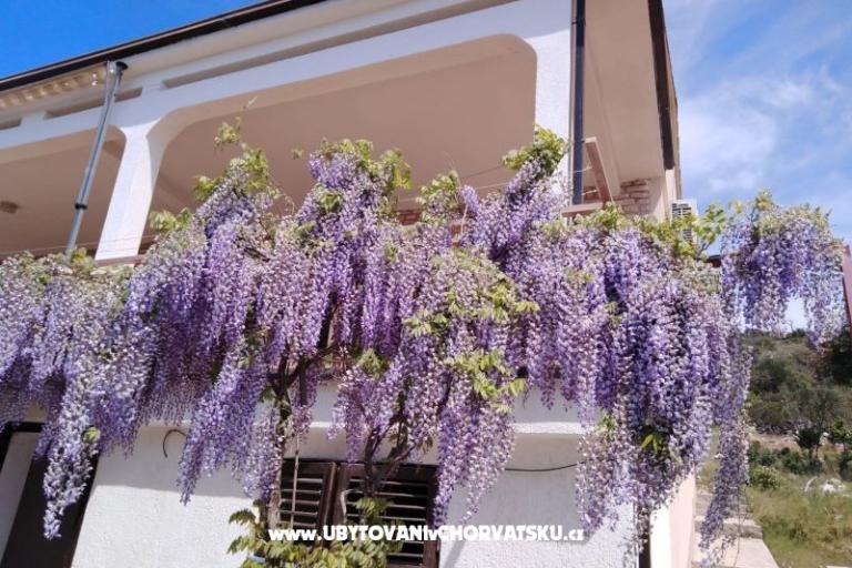 Apartman Mišić - OAZA MIRA – fotó 21