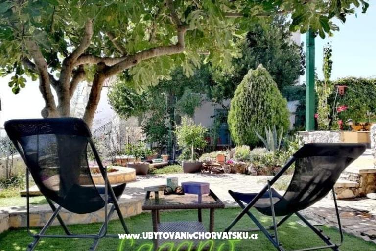 Apartman Pane – fotó 11