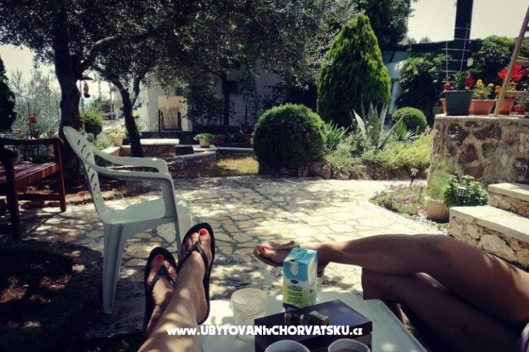 Apartman Pane – fotó 13