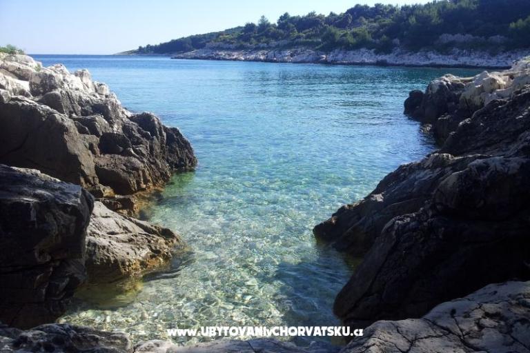 Apartman Pane – fotó 17