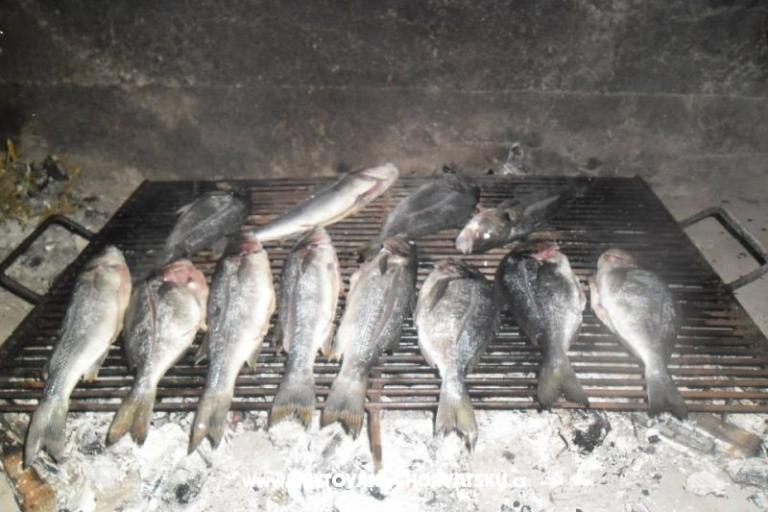 Vila Patria – fotó 17