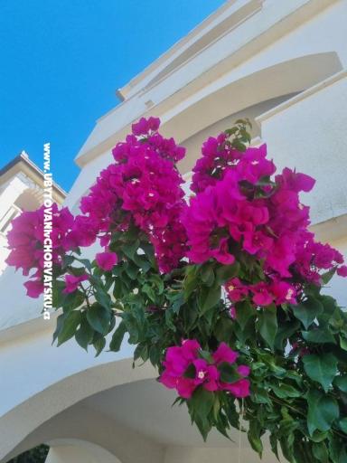 Apartmanok Ana – fotó 9