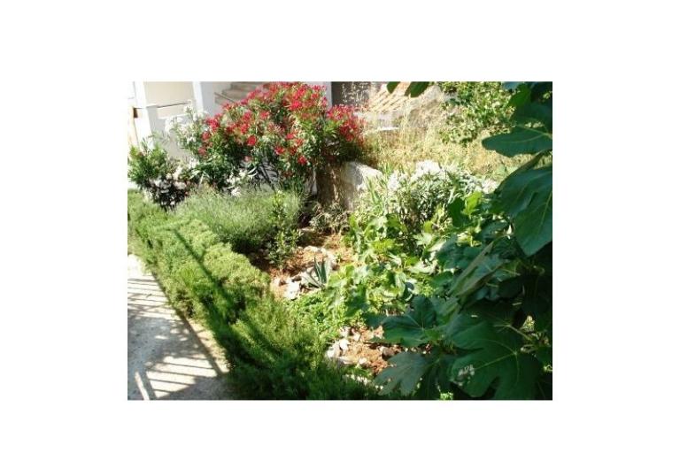 Apartmanok Ante – fotó 8